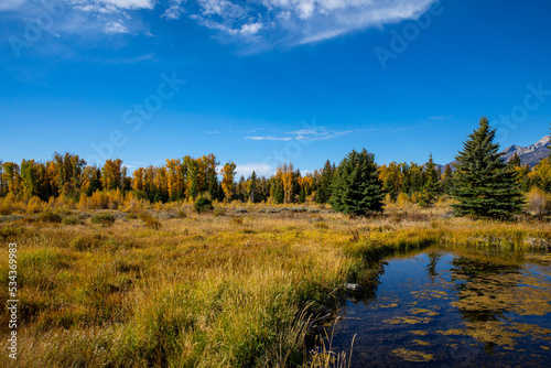 Grand Tetons