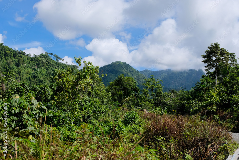 Obraz premium A view of the jungle and mountainous landscape at Panguna mine on tropical island of Bougainville, Papua New Guinea