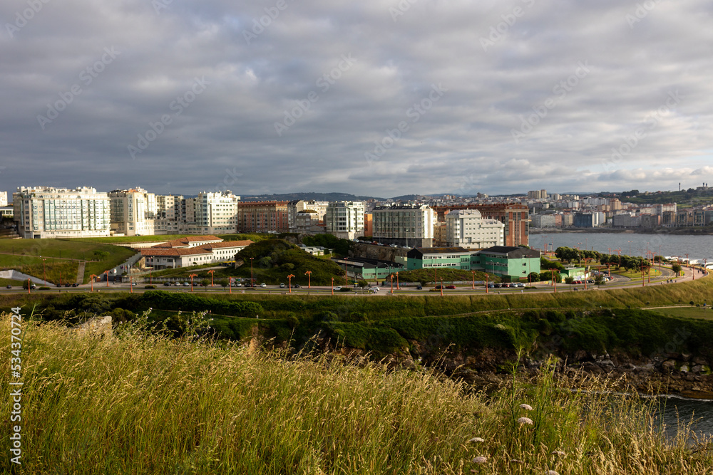 View of the city from afar, in the foreground the grass is yellow