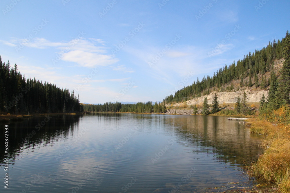 reflection of trees in lake