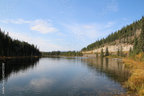 reflection of trees in lake