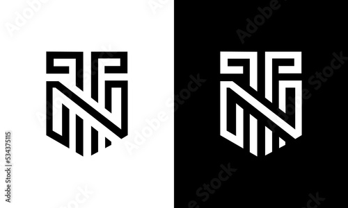 letter tn logo design photo