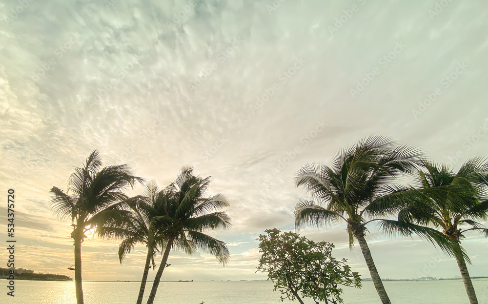 Copy space of tropical palm tree with sun light on sky background. Copy space of tropical palm tree with sun light on sky background.