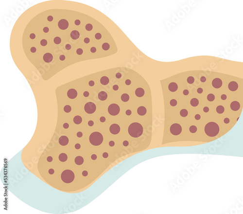 Bone icon