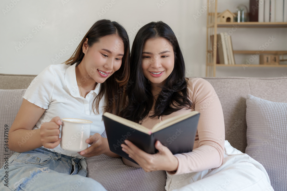 Two asian women having nice lively conversation in living room on sofa in cozy interior Two asian women having nice lively conversation in living room on sofa in cozy interior