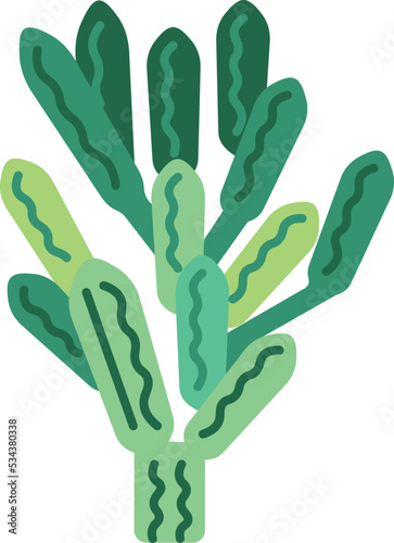 cactus icon