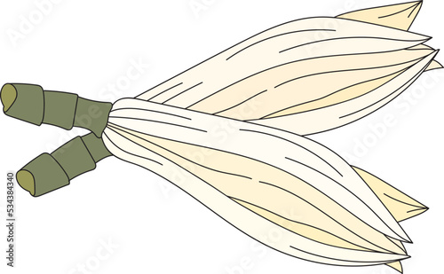 Abstract of chempaka flower on white background.