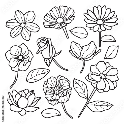 Handdrawn Aesthetic Realistic Floral Line Art Style Set