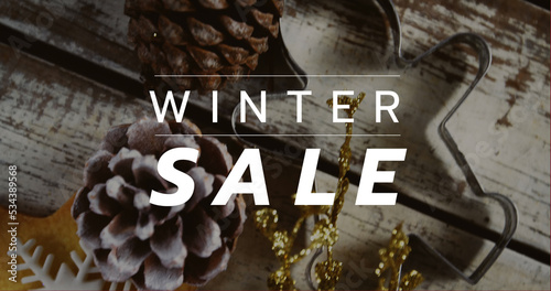 Composition of winter sale text over christmas decoration in background