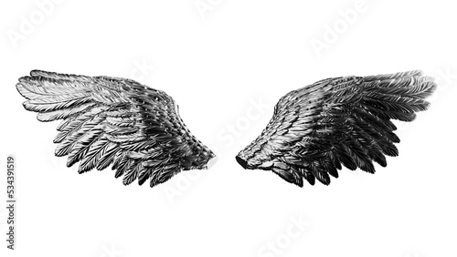 Metallic silver wings under white lighting background. Concept 3D CG of free activity, decision without regret and strategic action. PNG file format.