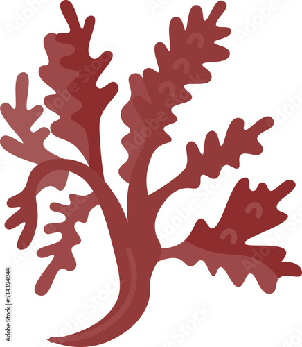 carrageenan icon