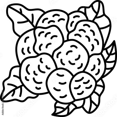 cauliflower icon