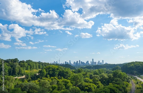 Fototapeta Naklejka Na Ścianę i Meble -  city skyline above the forest