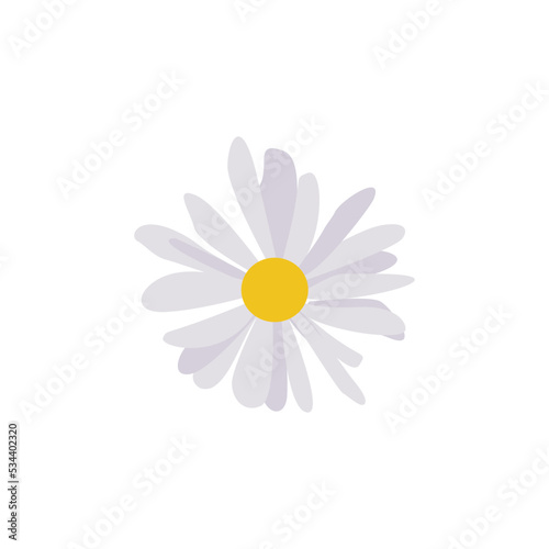 Stampa su tela White daisy flower