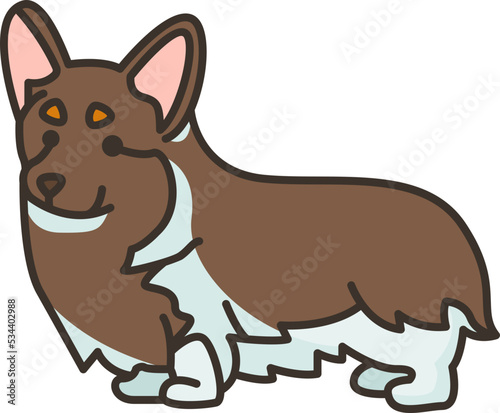 Corgi icon