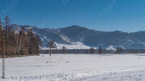 Tire tracks are visible on the trampled road in the snow. A forest grows in the expanse of a snow-covered valley. A mountain range against a clear blue sky. Copy space. Altai