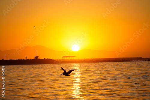 California Sunrise - San Pedro © Carlton