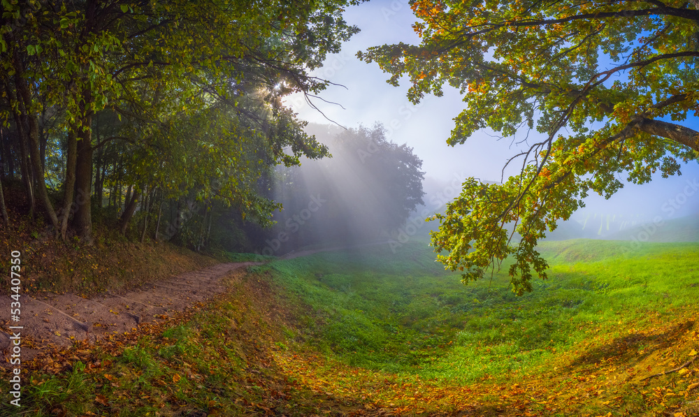 Autumn morning view in a mist with sun rising