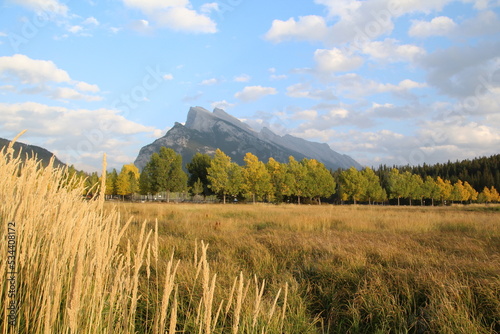 Autumn Grass In The Mountains