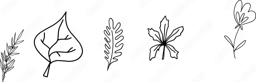 Wildflowers collection. Collection of twigs. Twigs Hand drawn vector floral elements.  Hand-drawn doodles illustration. Line art. Icon