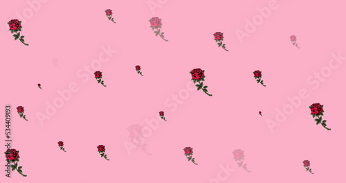 Image of roses spread on pink background