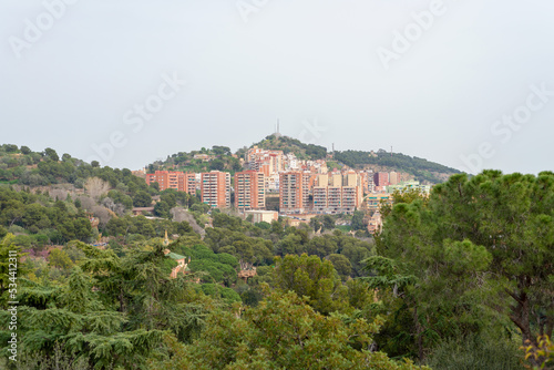 The city seen in the distance, the forest, the trees, nature. Buildings on the horizon. 