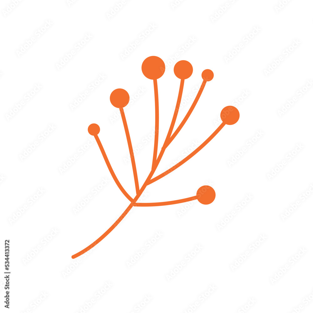branch fruits nature