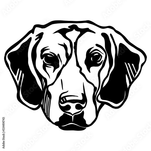 Abstract portrait of a beagle dog black contour illustration