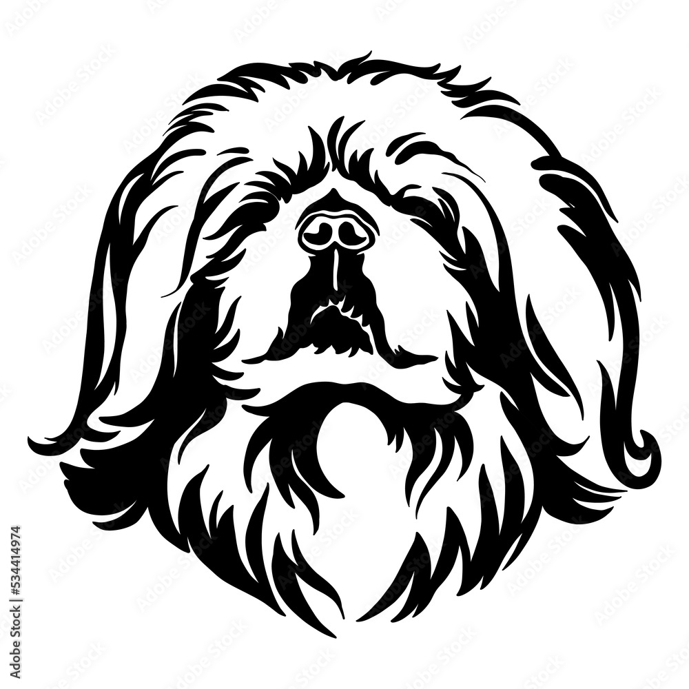 Obraz premium Abstract portrait of a Pekingese dog black contour illustration