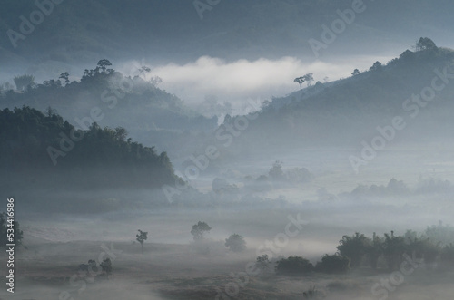 Morning fog on the mountain
