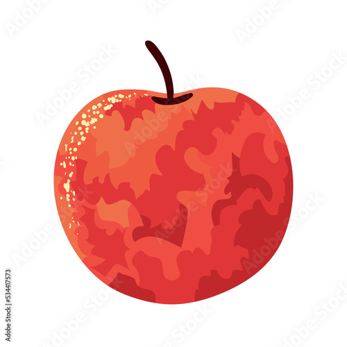 apple fruit harvest