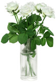 Beautiful white roses bouquet in a stylish glass vase isolated