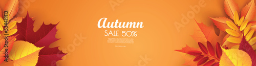 Autumn Sale Fashionable Banner Template with Colorful Leaves. Shopping Discount promotion. Poster, card, flyer, label.