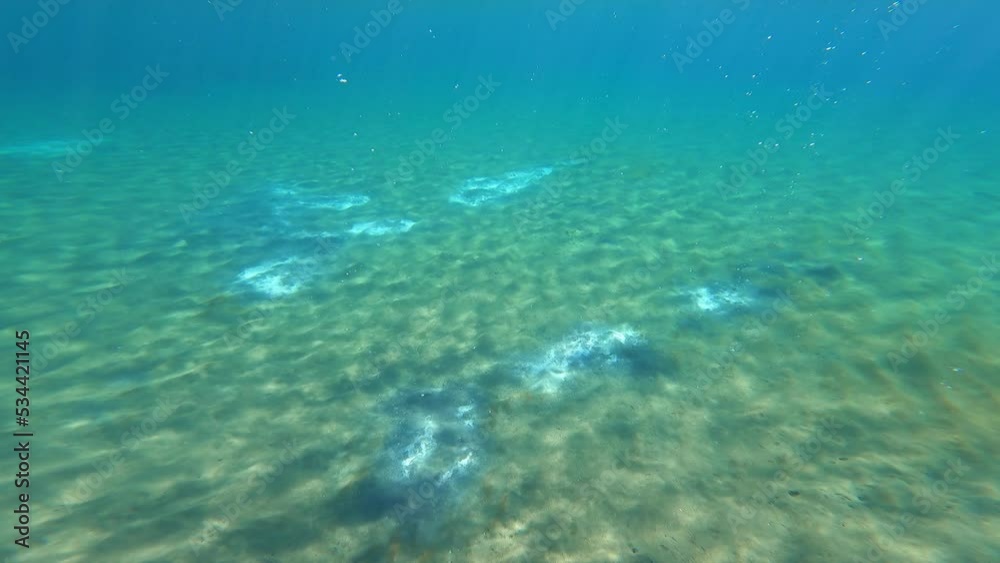 Underwater grey vulcanos on the sand of the seabed in the Mediterranean Sea in the summer, Greece Underwater grey vulcanos on the sand of the seabed in the Mediterranean Sea in the summer, Greece