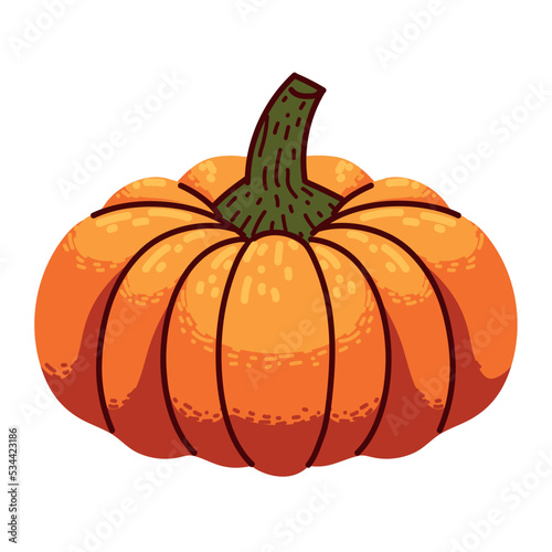 pumpkin vegetable icon