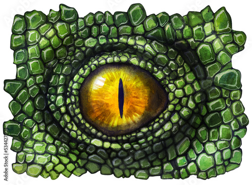 Dinosaur and dragon eye with scales. Watercolor drawing. photo