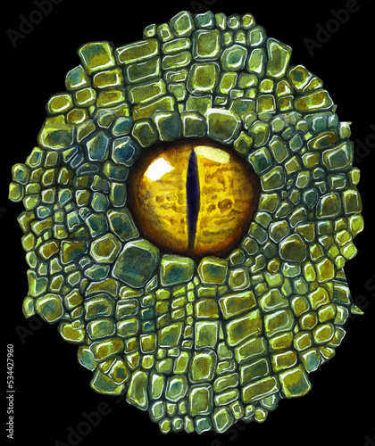 Bild auf Leinwand Dragon or dinosaur eye on a black background