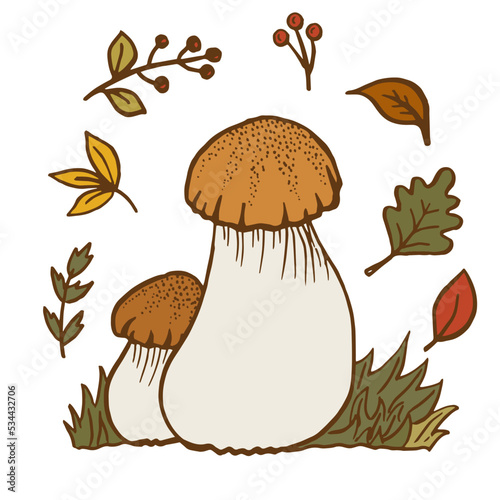 Hello Autumn. Autumn harvest symbols. Set of autumn elements leaves, berries and mushroom. Hand drawn, sketch. Vector illustration in doodle style.