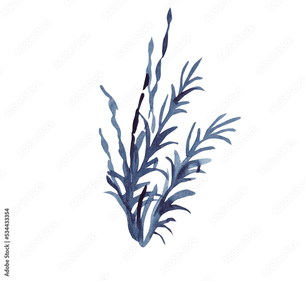 Fototapeta premium Watercolor indigo algae on a transparent background