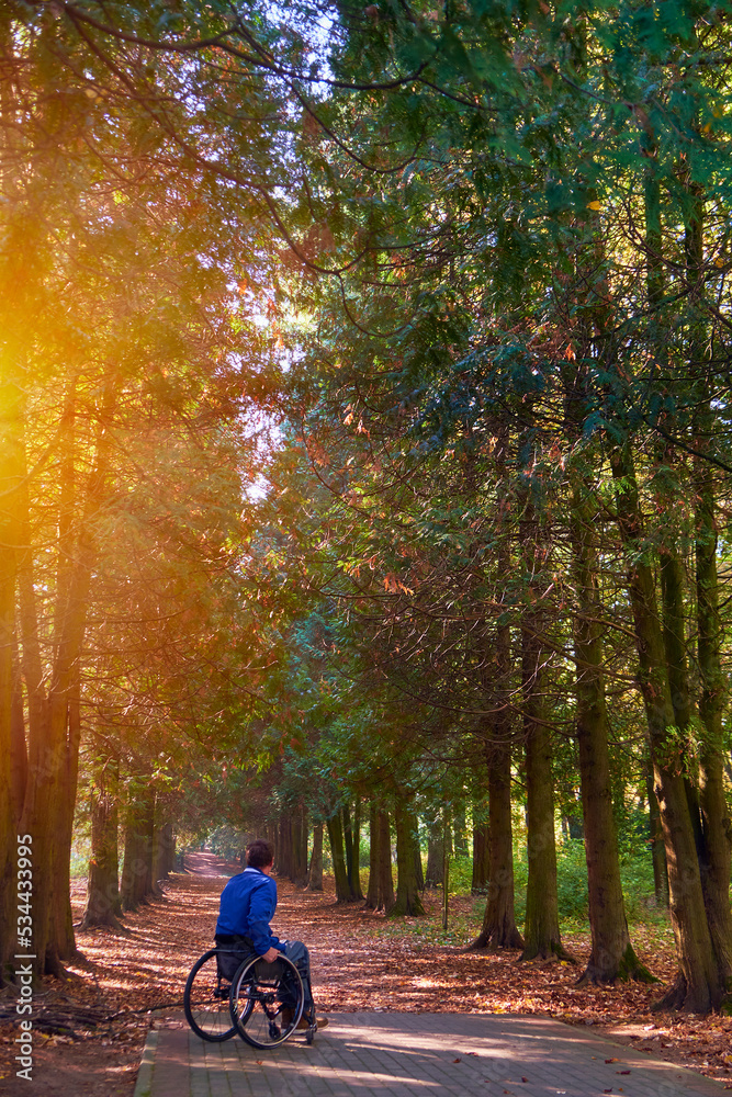 a man sits in a wheelchair and looks into the distance at a shady alley flooded with autumn sun rays with fallen leaves on a warm autumn day