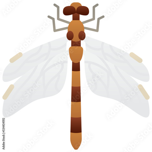 dragonfly icon
