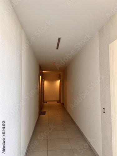 Hall of a modern flat apartment house. Entrance hall in a contemporary apartment  corridor  flat.