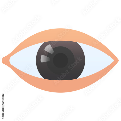 Eye icon