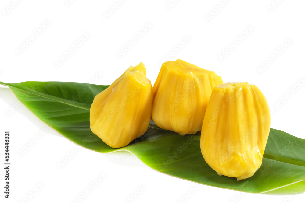 Jackfruit in leaves on white background close up top view. Jackfruit in leaves on white background close up top view.