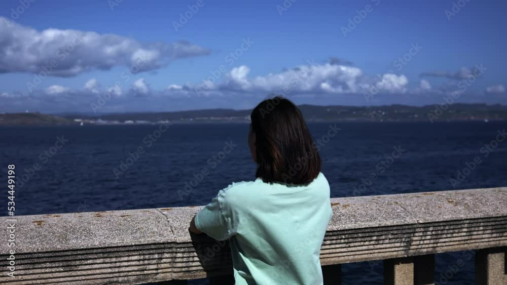 A brunette woman stands on the waterfront. Close-up of the back A brunette woman stands on the waterfront. Close-up of the back