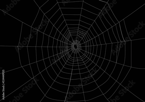 White spider web on black background