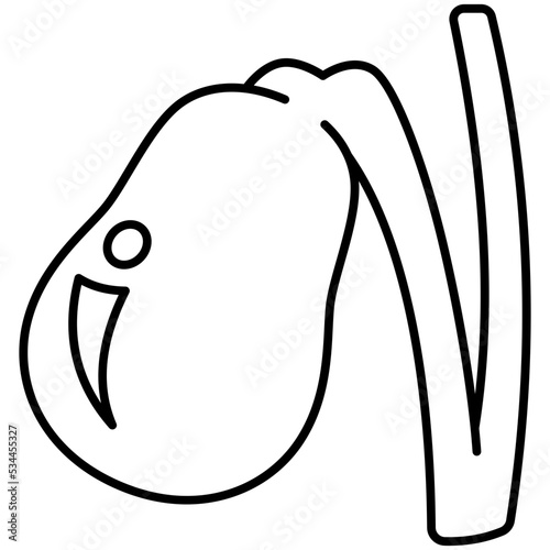 gallbladder icon