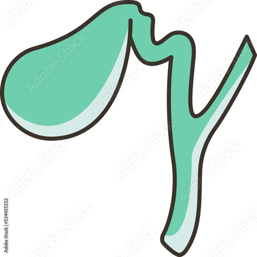 Gallbladder icon