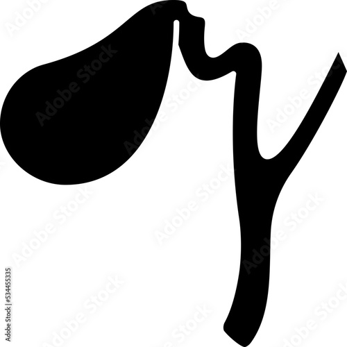 Gallbladder icon