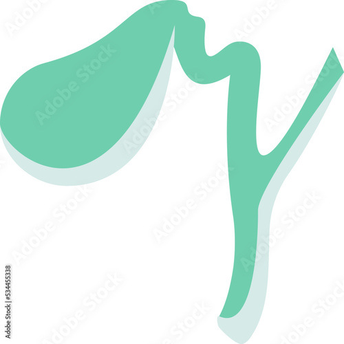 Gallbladder icon